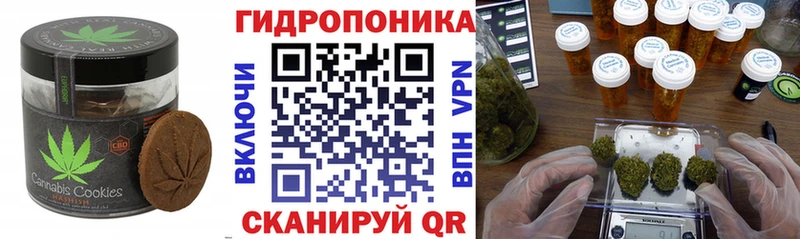 MEGA как зайти  Тында  Печенье с ТГК конопля 