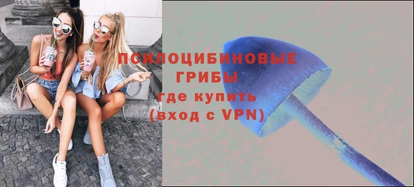 ПСИЛОЦИБИНОВЫЕ ГРИБЫ Абаза