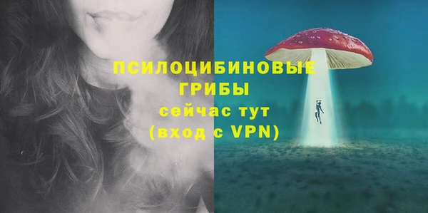 ПСИЛОЦИБИНОВЫЕ ГРИБЫ Абаза