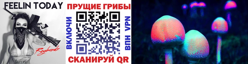 Галлюциногенные грибы ЛСД  купить  сайты  Тында 